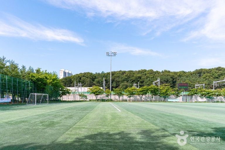 [경기] 충장근린체육공원