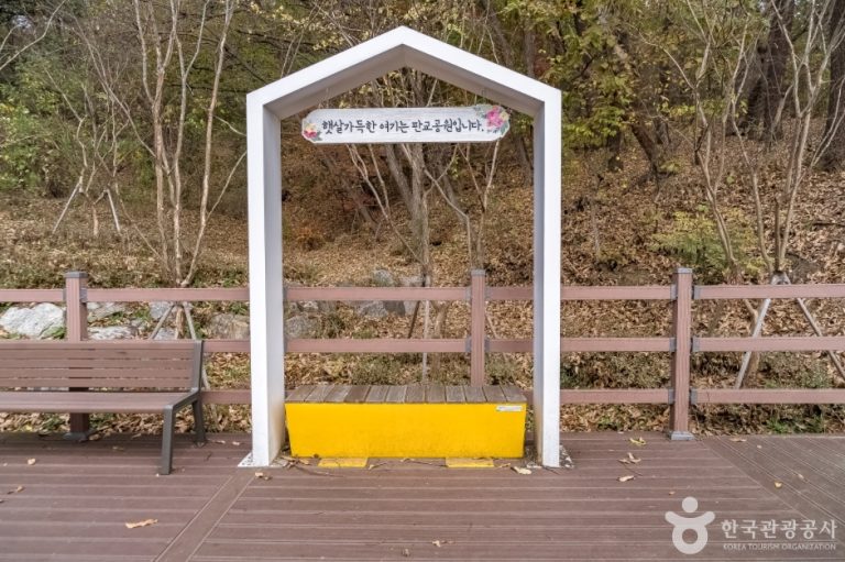 [경기] 판교공원