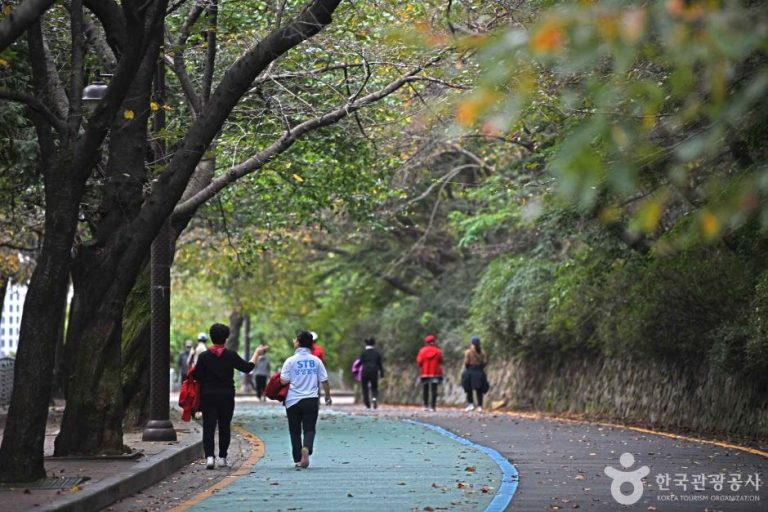 [경기] 팔달공원