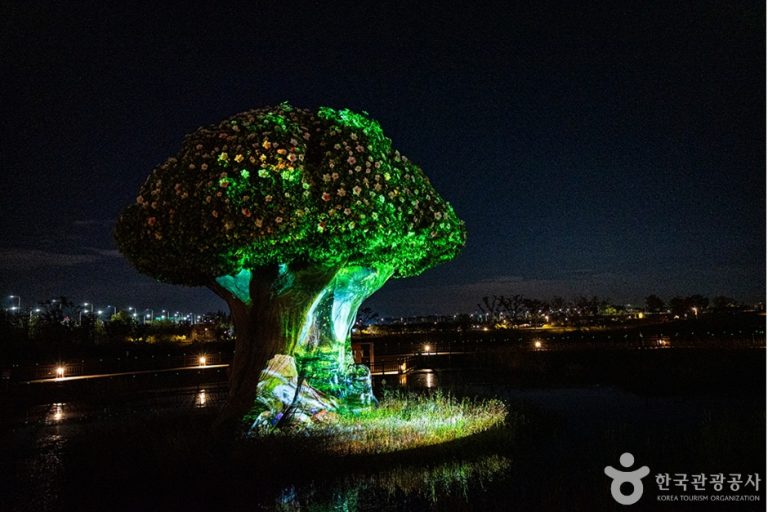 [경기] 임진각 수풀누리