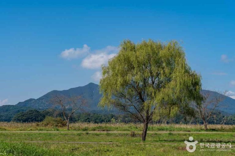 [경기] 팔당물안개공원