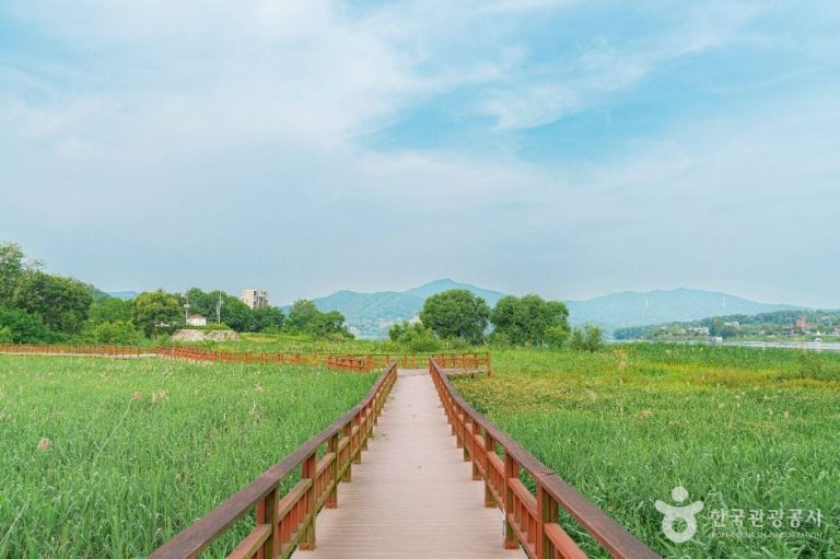 [경기] 강하예술공원