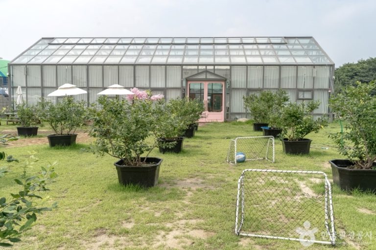 [경기] 포레스트벨