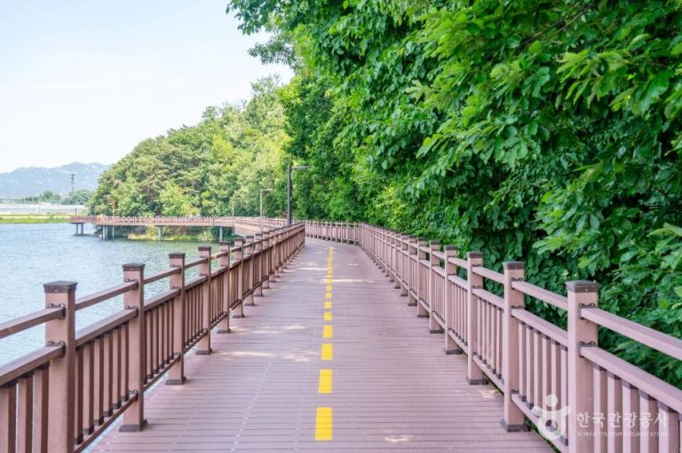 [경기] 백운호수 생태탐방로