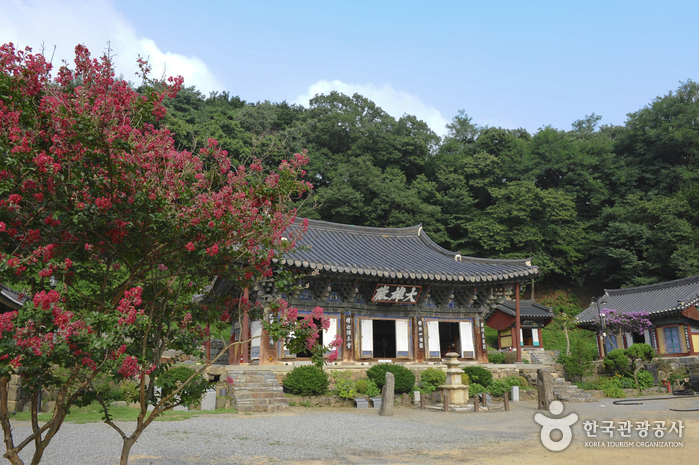 [경기] 청룡사(안성)