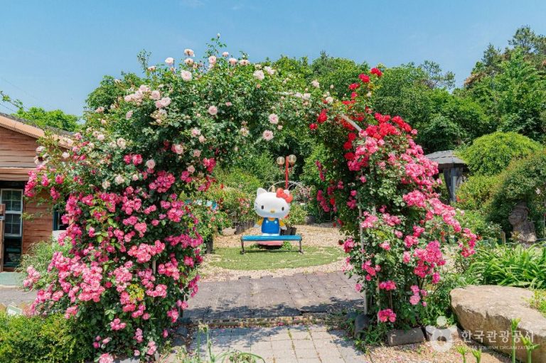[경기] 풀향기 허브나라&토이박물관