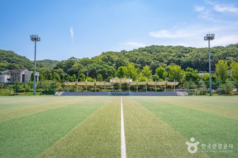 [경기] 비산체육공원