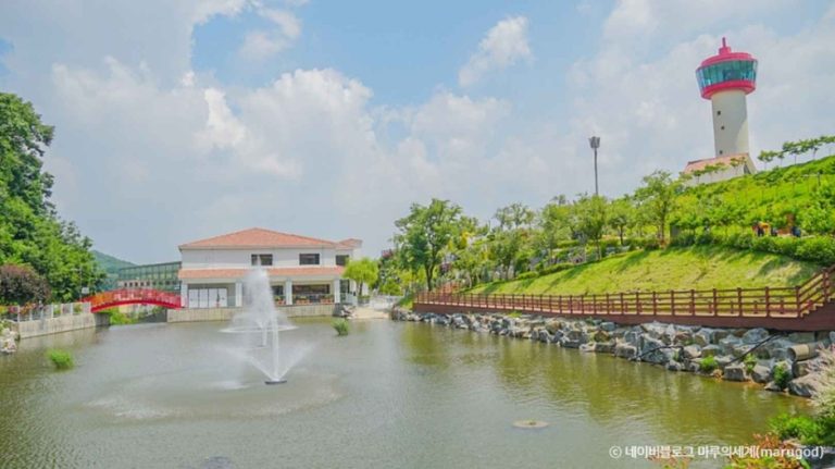 [경기] 용인자작나무숲