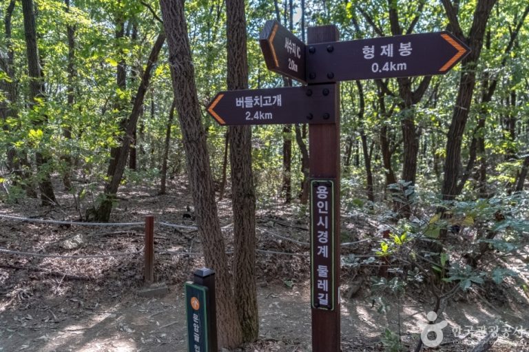 [경기] 광교산 형제봉