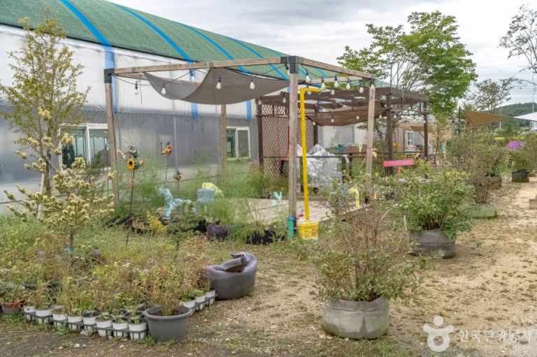 [경기] 용인청정팜