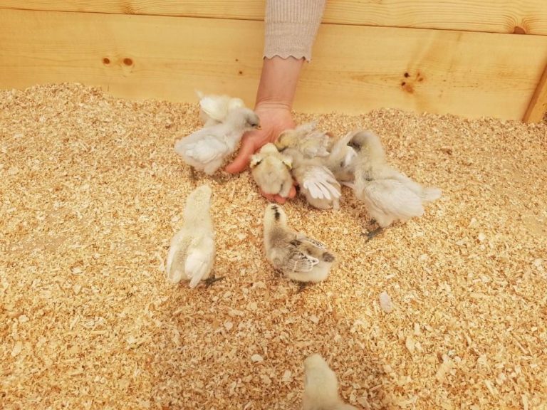 [경기] 나눔농장(파주)