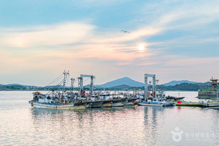 [경기] 김포 대명항