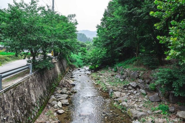 [경기] 팔현계곡