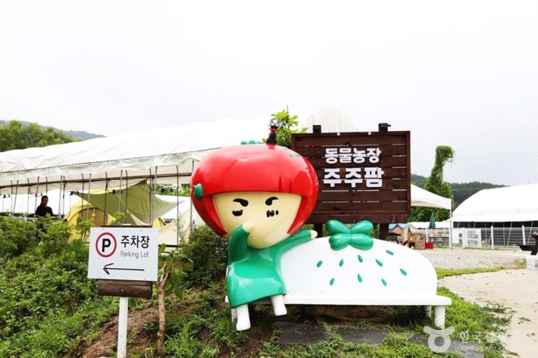 [경기] 주주팜 동물농장