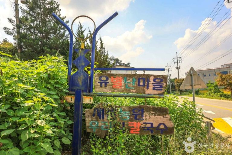 [경기] 안성 유별난마을