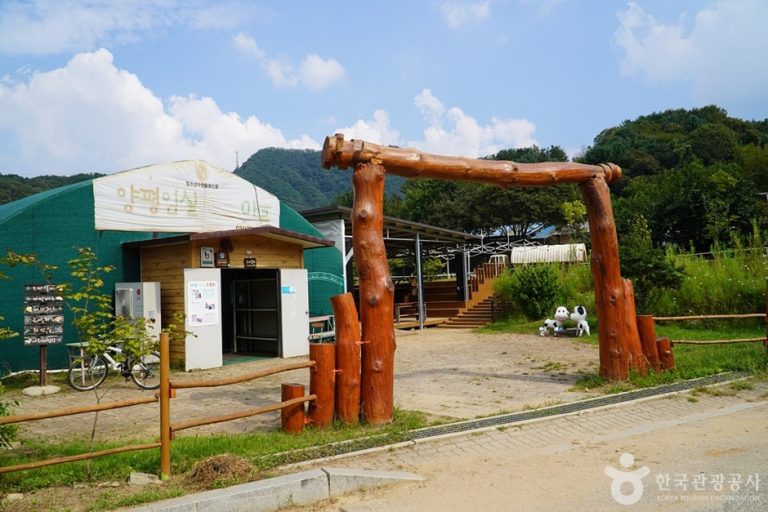 [경기] 양평임실치즈마을