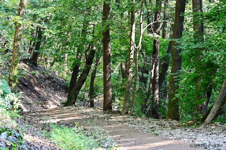 [경기] 천마산 시립공원