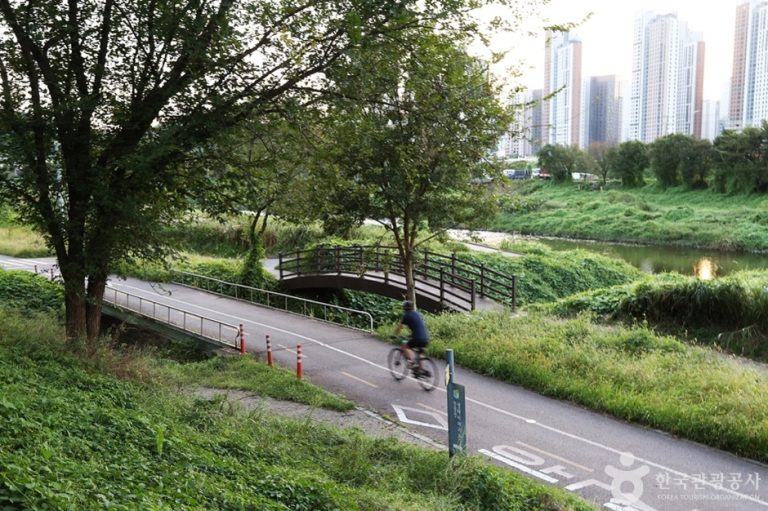 [경기] 안양천