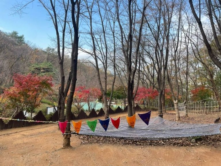 [경기] 청사초롱 유아숲체험원