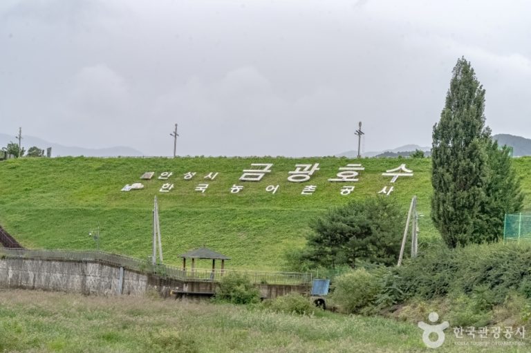 [경기] 금광호수공원