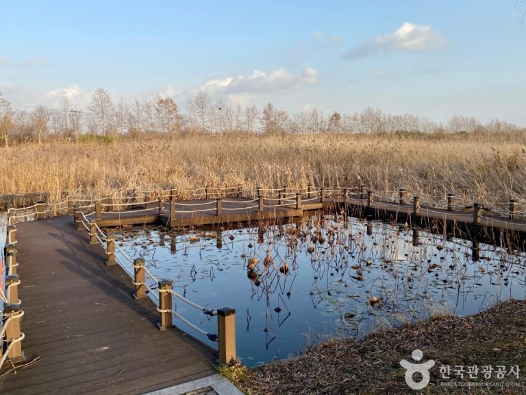 [경기] 안산갈대습지공원