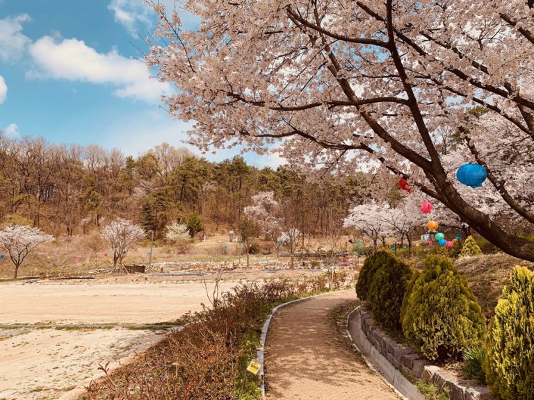 [경기] 보현선원