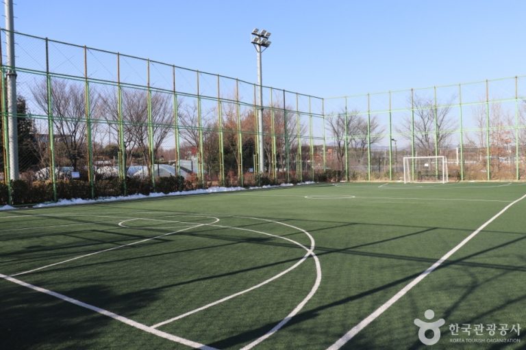 [경기] 당수체육공원