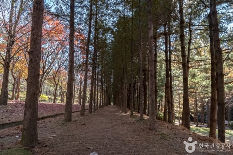 [경기] 대원공원