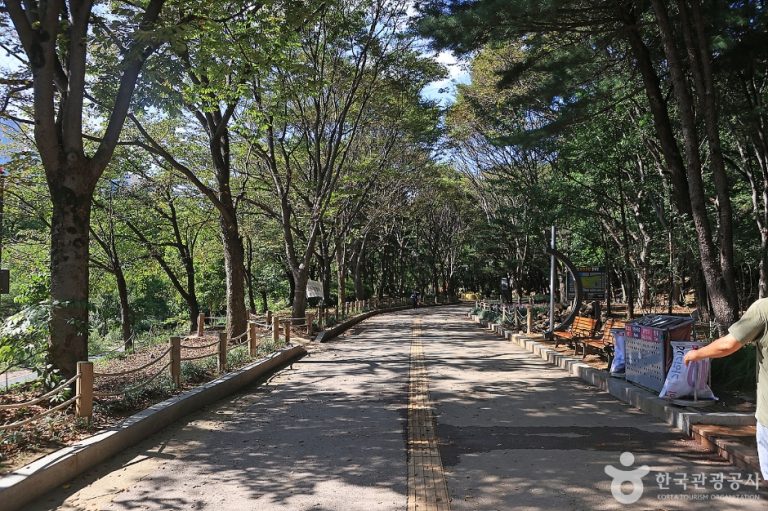 [경기] 성남 중앙공원