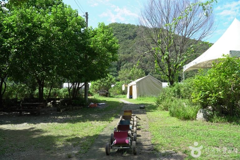 [경기] 소소리농장