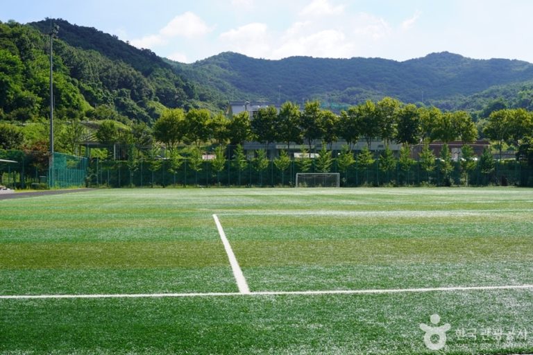 [경기] 에코랜드