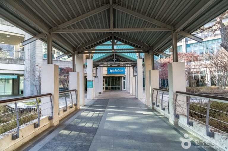 [경기] 스파라스파 (곤지암리조트)