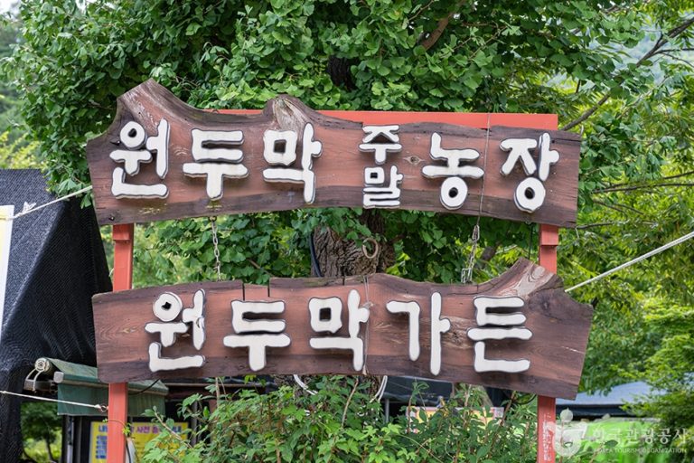 [경기] 원두막주말농장