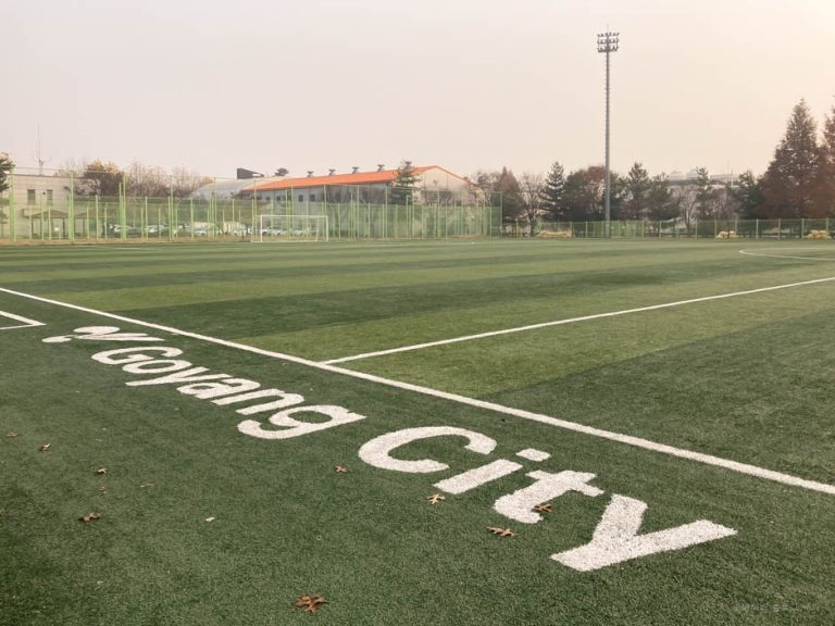 [경기] 대화동레포츠공원