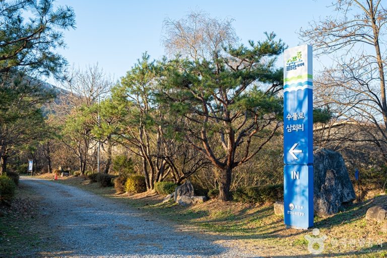 [경기] 수풀로 삼회리