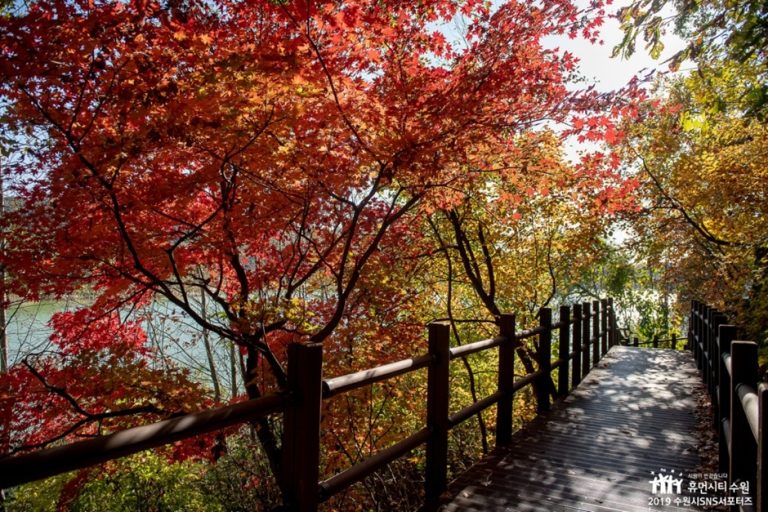 [경기] 광교마루길