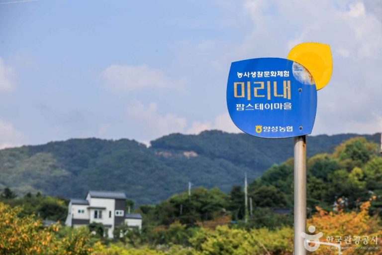 [경기] 안성 미리내마을