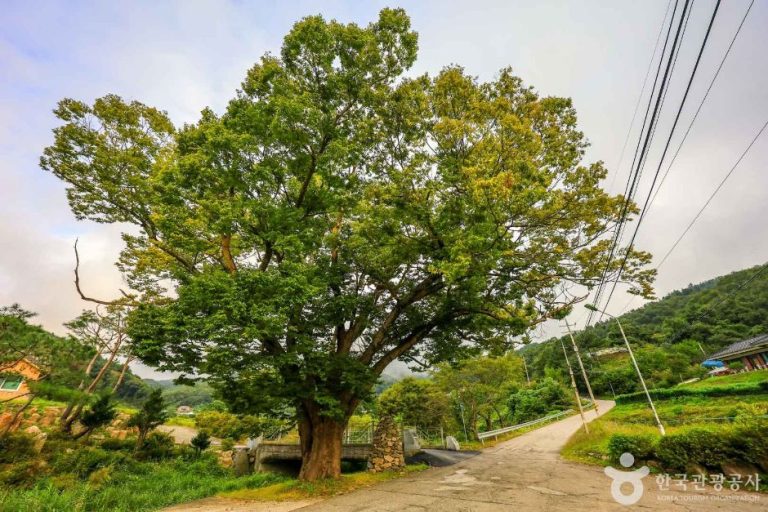[경기] 양평 쌍겨리마을