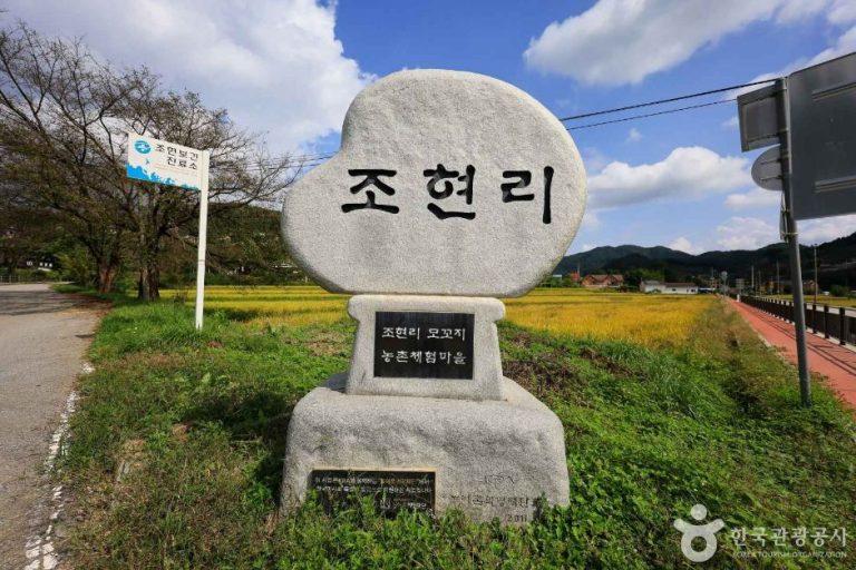 [경기] 모꼬지마을