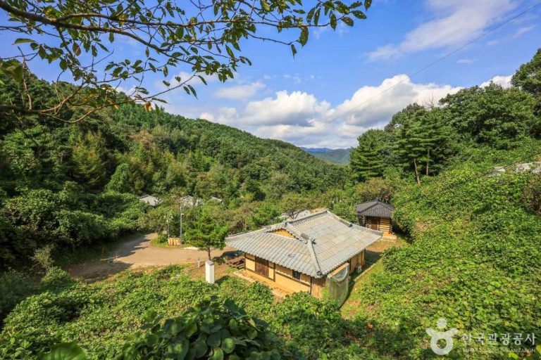 [경기] 양평 맑은숲캠프