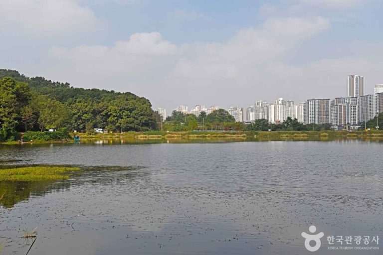 [경기] 장지저수지