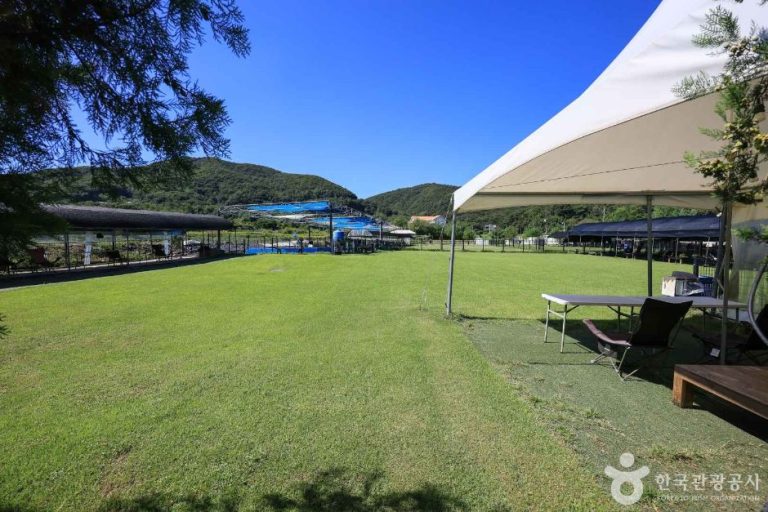 [경기] 노리개운동장