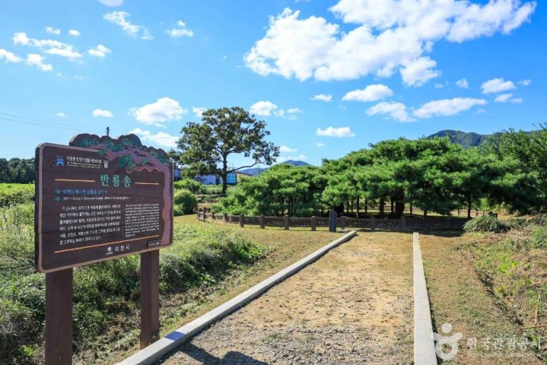 [경기] 이천 도립리 반룡송