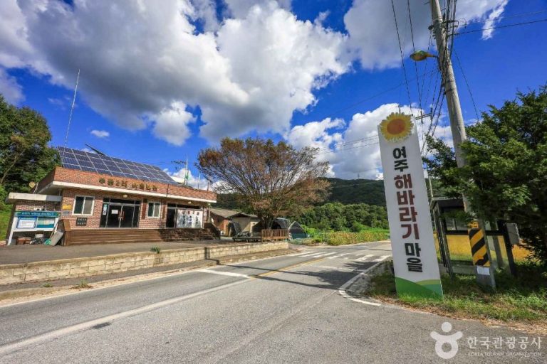 [경기] 여주 해바라기마을