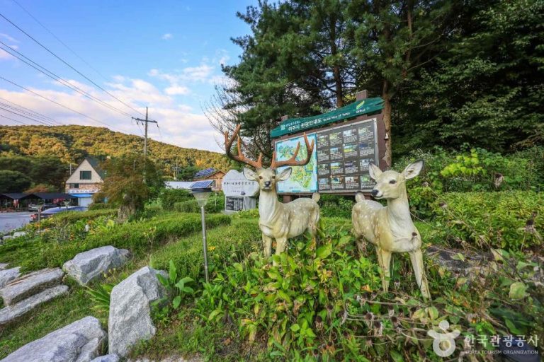 [경기] 사슴마을