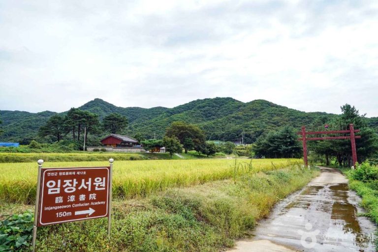 [경기] 임장서원