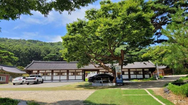 [경기] 쌍계사(안산)