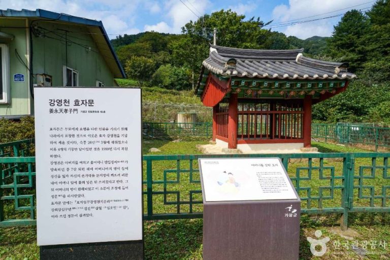 [경기] 강영천효자문