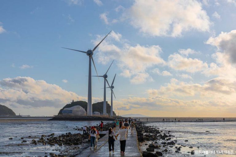 [경기] 탄도항누에섬