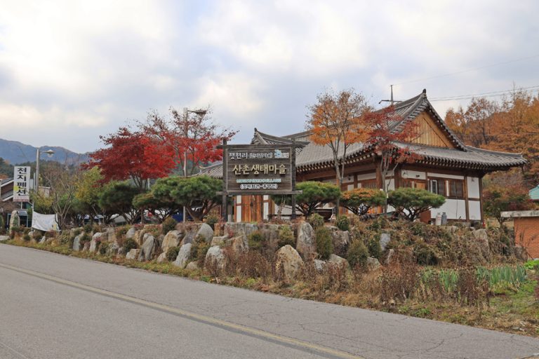 [경기] 잣향기푸른마을